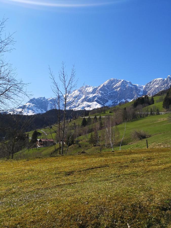 Apartment Daum - Deine Ferienwohnung In Muehlbach Am Hochkoenig Buitenkant foto